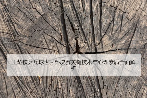 王楚钦乒乓球世界杯决赛关键技术与心理素质全面解析 | IM SPORTS